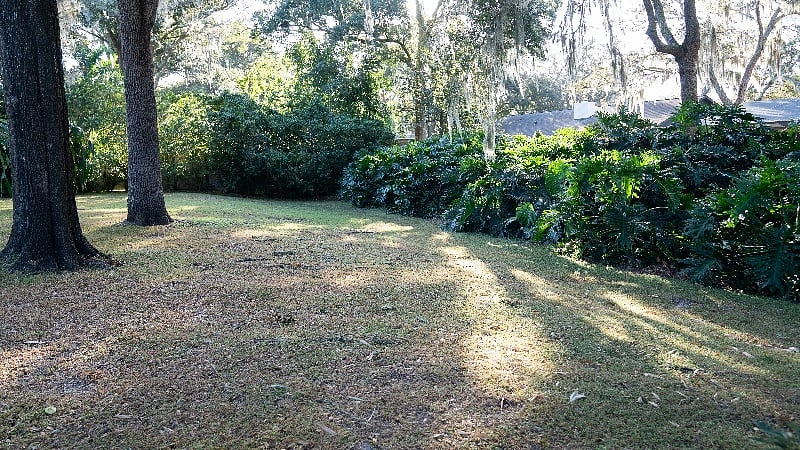 Furnished Finder property 266572_1 photo 38