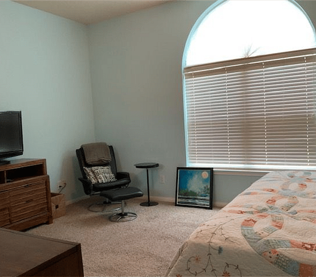 Furnished Finder property 266612_1 photo 13
