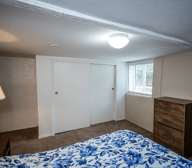 Lower level bedroom closet.