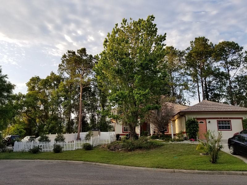 Furnished Finder property 266800_2 photo 13