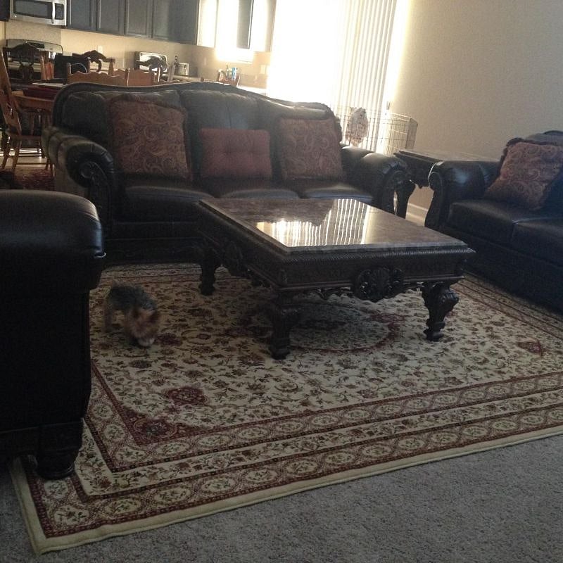 Furnished Finder property 267209_1 photo 5