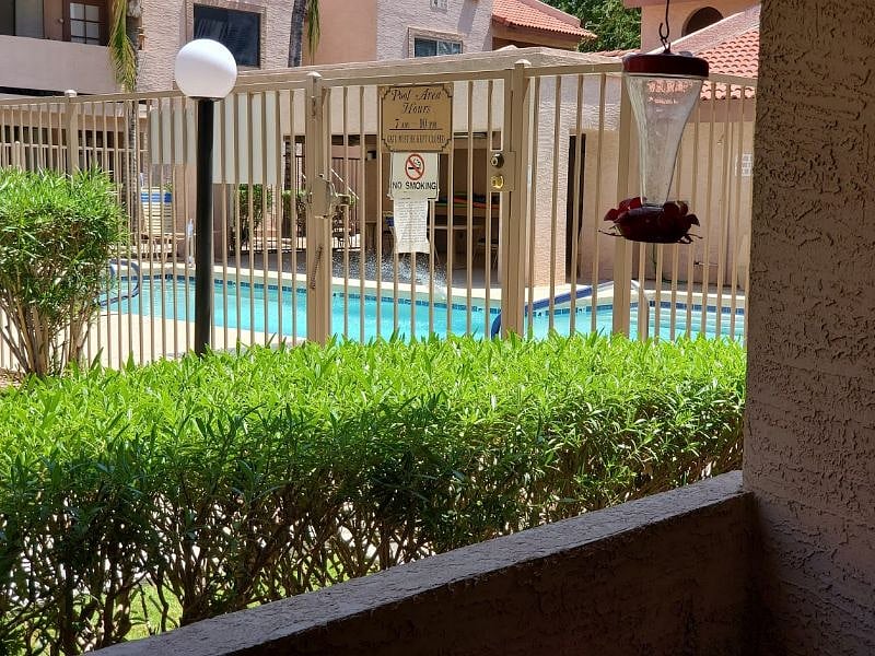 Furnished Finder property 267315_1 photo 17