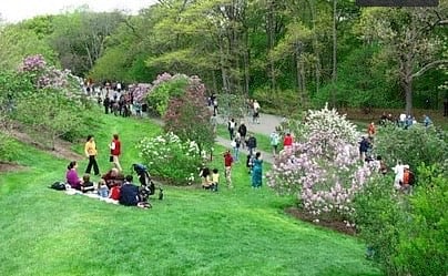 Beautiful Olmsted park In Historic Franklin Park across the street.