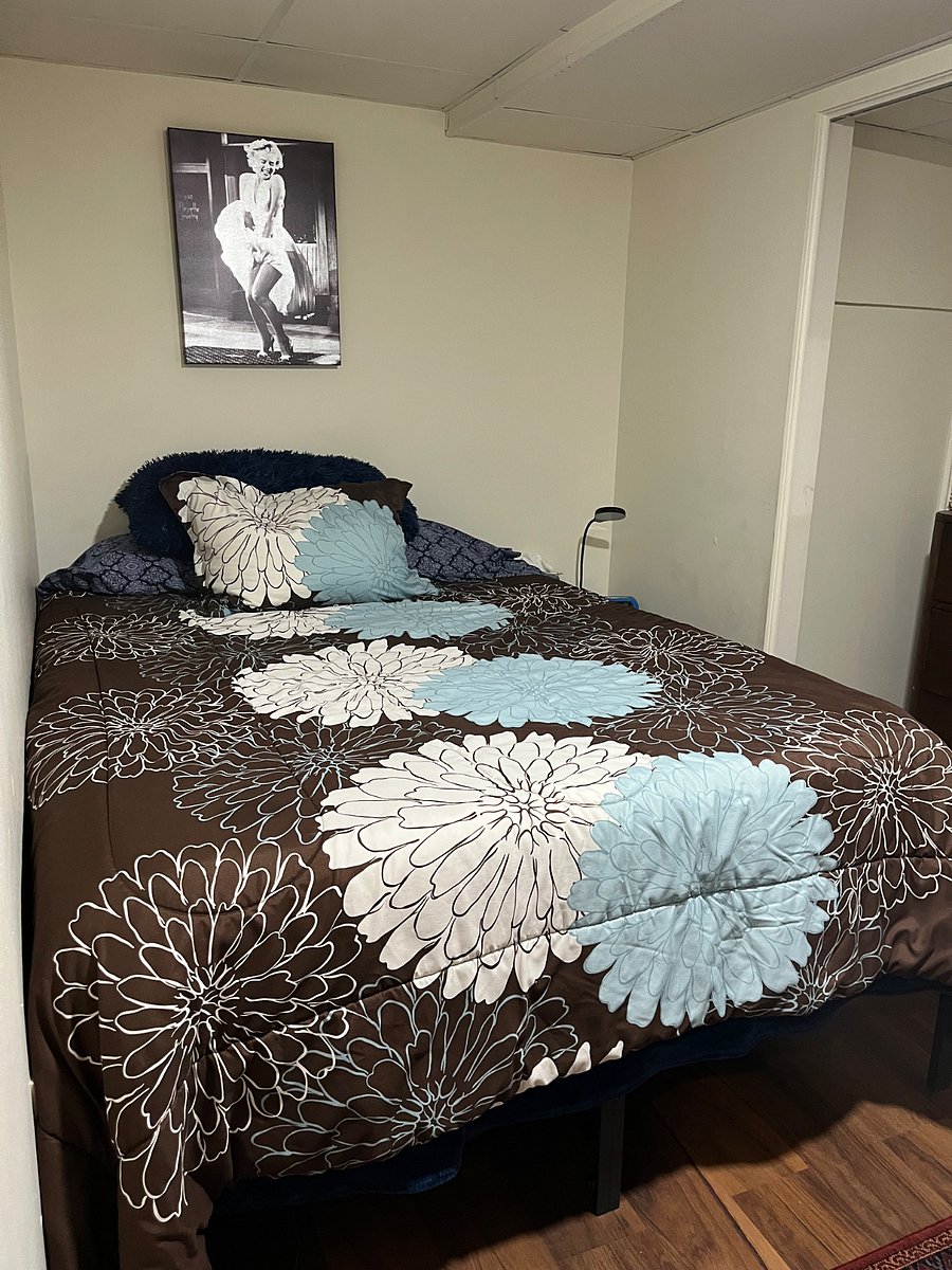 Furnished Finder property 268011_1 photo 6