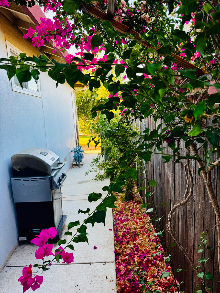 Furnished Finder property 268051_1 photo 22