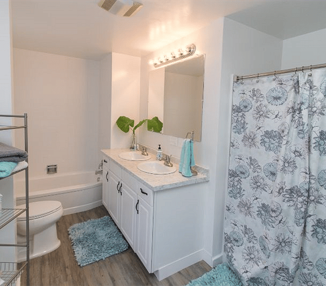Furnished Finder property 268084_1 photo 11