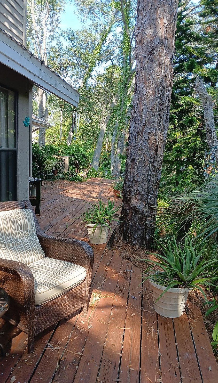 Furnished Finder property 268153_1 photo 7