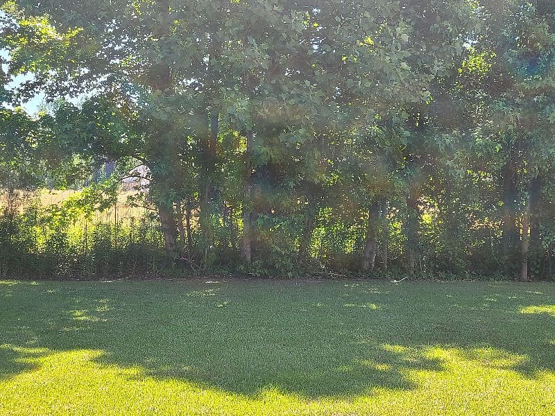 Furnished Finder property 268218_1 photo 34
