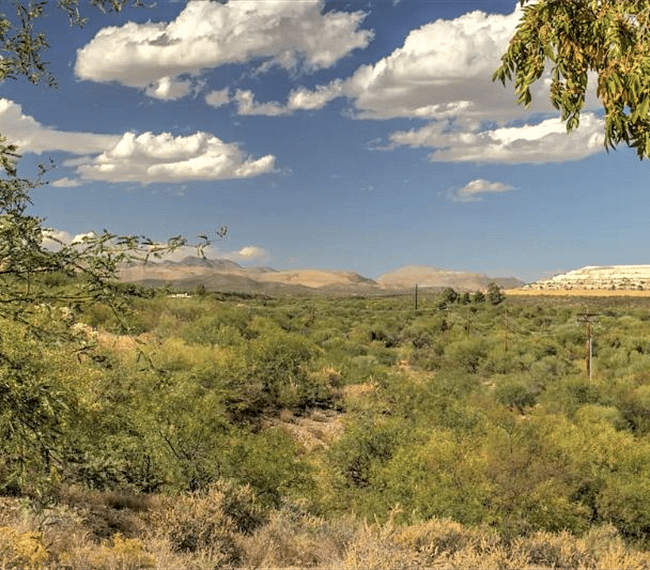 Local Green Valley Scenery - San Ignacio Golf Course nearby