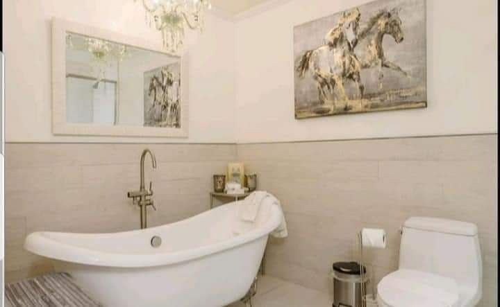 Furnished Finder property 268466_1 photo 6