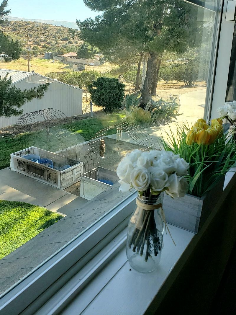Furnished Finder property 268466_2 photo 9