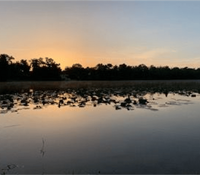 Early morning just before sunrise!