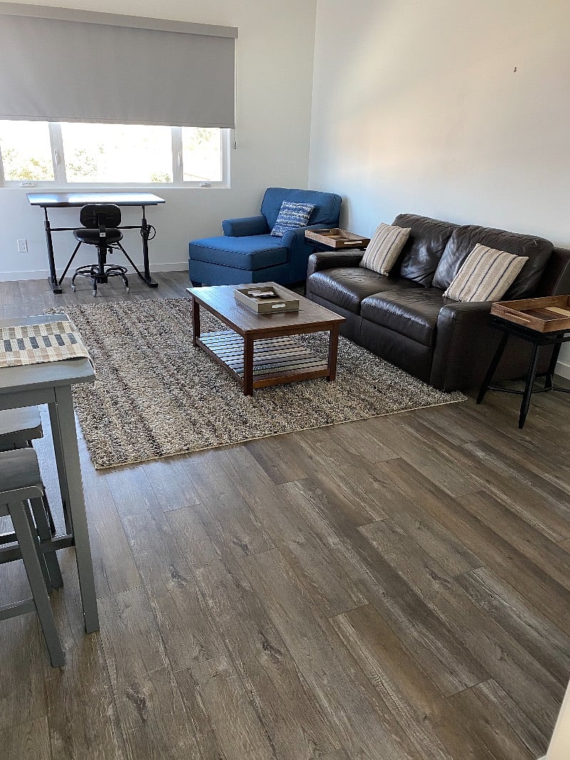 living room/ with pull out couch