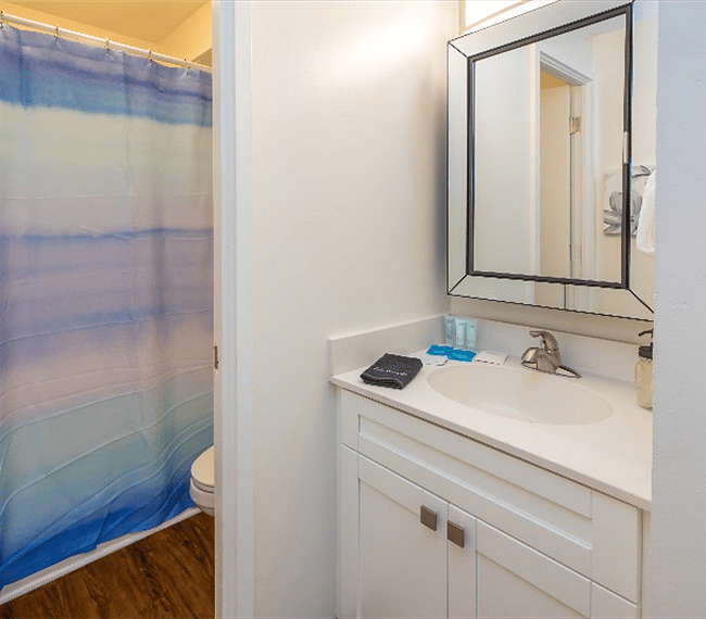 The bathroom is modern and stylish with shower, toilet and vanity