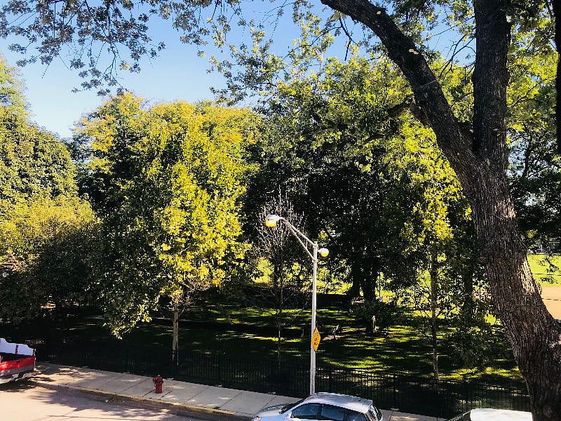McGuane Park across the street