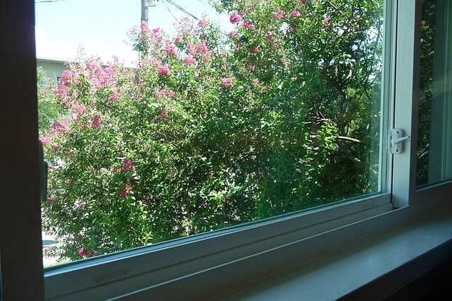 Lovely Crape Myrtle Enjoyed Throughout The Entire Apartment