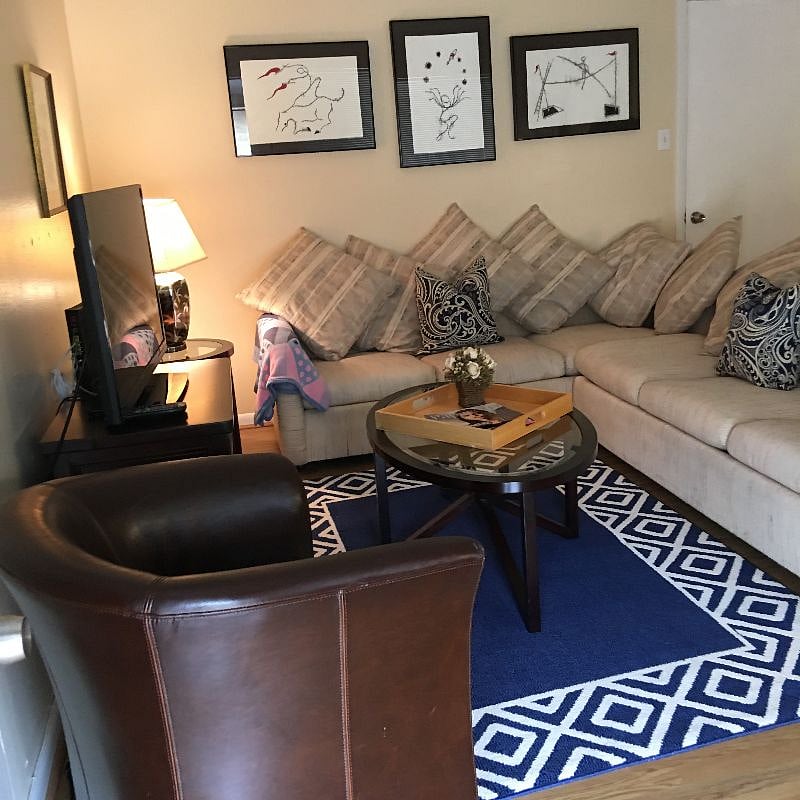 Two Large Comfortable Couches Suitable For Sleeping