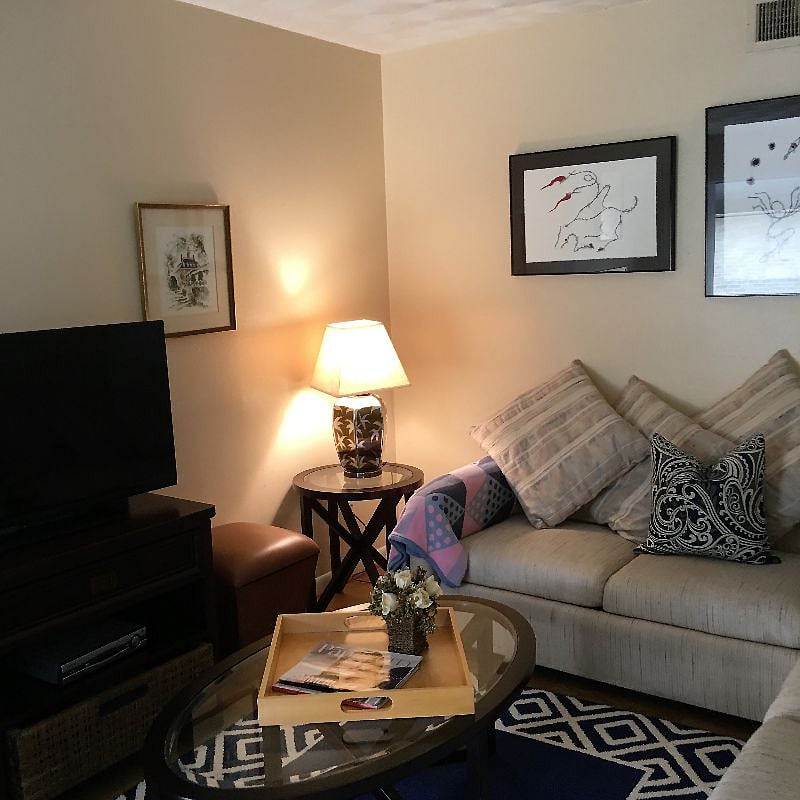 Bright, Comfy Living Room