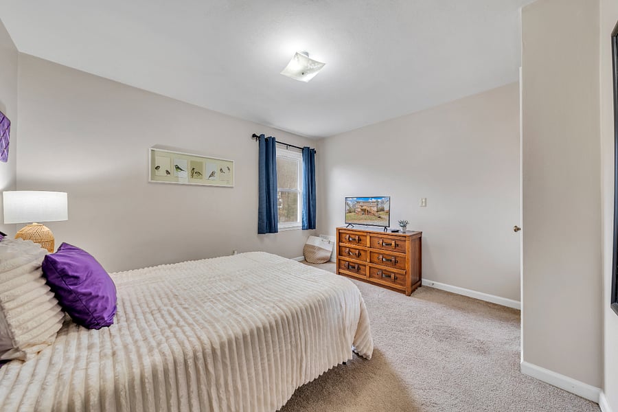 Furnished Finder property 269016_1 photo 23