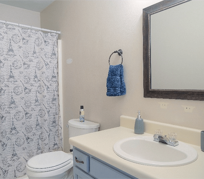 Furnished Finder property 269016_1 photo 7