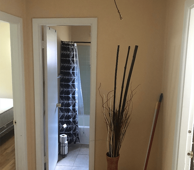 Furnished Finder property 269047_1 photo 6