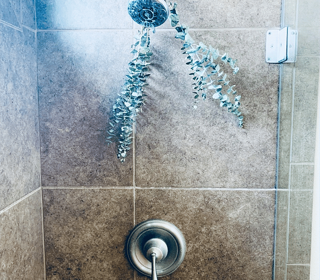 Master bathroom shower