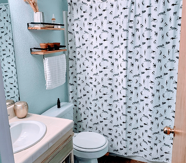 Guest bedroom bathroom (attached)