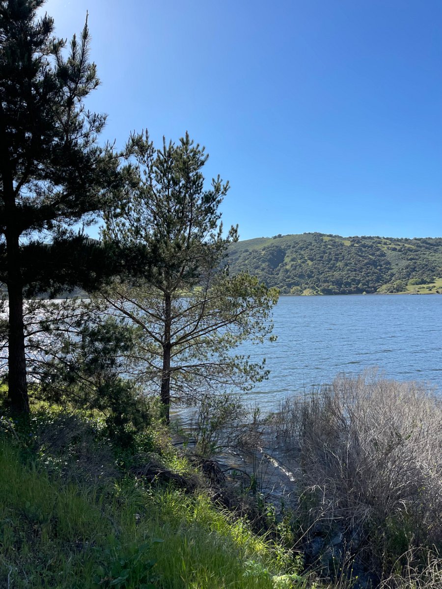Less than minutes to Lake Lopez, boating, kayaking, fishing, and hiking, waterside and zip lining.