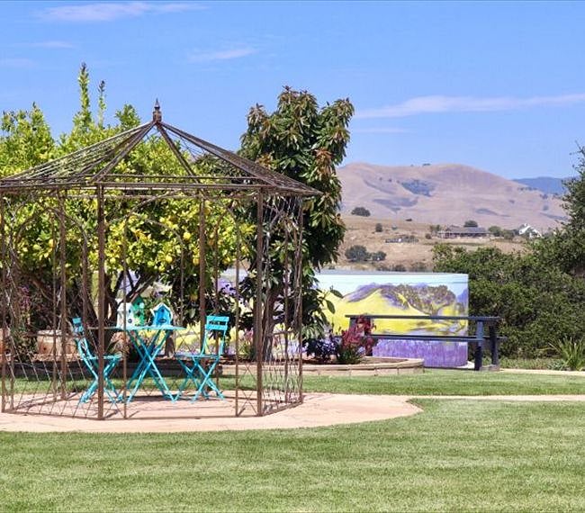 View from the Bocce, and lemon trees.