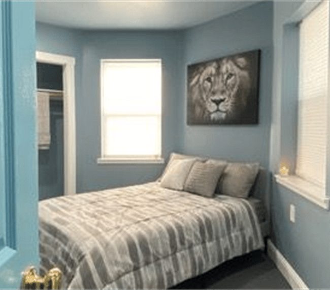 Amazing lion wall frame and built-in closet