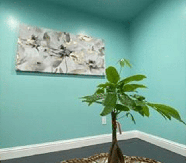 Plants and lovely wall arrangements