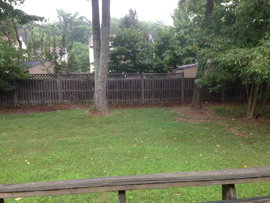 Furnished Finder property 269281_1 photo 18