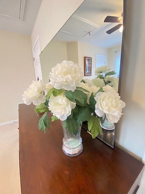 Furnished Finder property 269448_1 photo 16