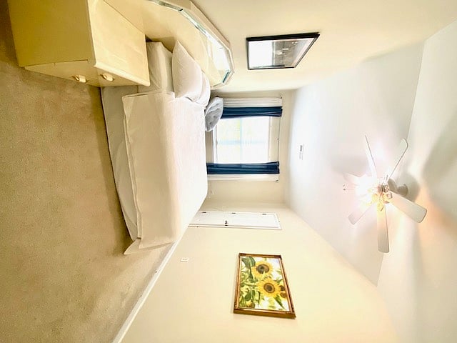 Furnished Finder property 269448_1 photo 18