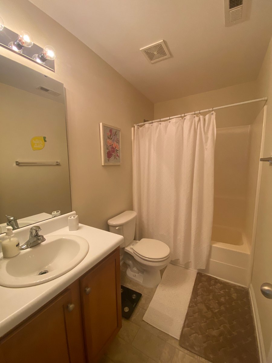Furnished Finder property 269448_1 photo 29