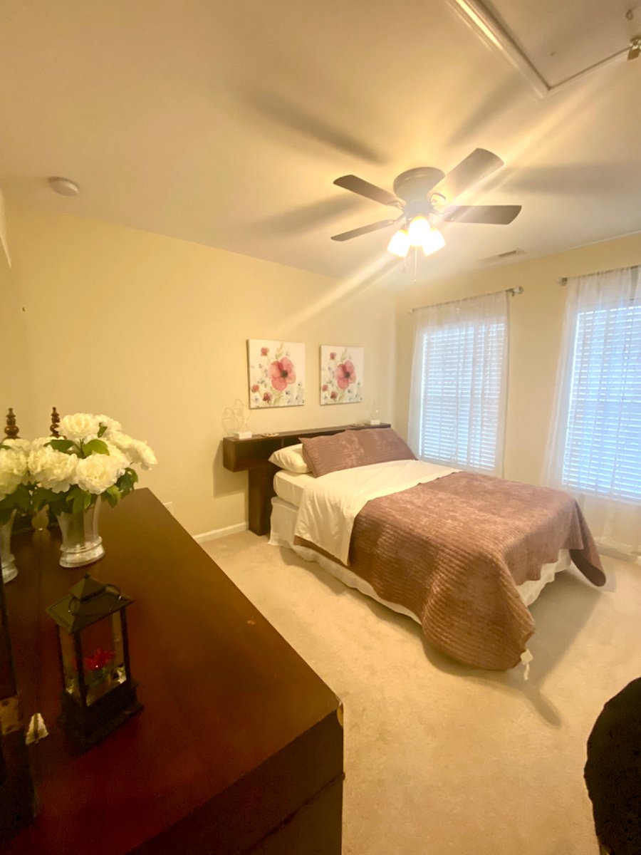 Furnished Finder property 269448_1 photo 38