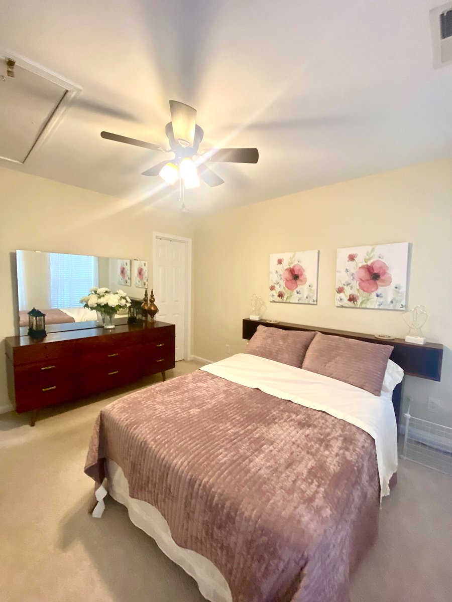 Furnished Finder property 269448_1 photo 39