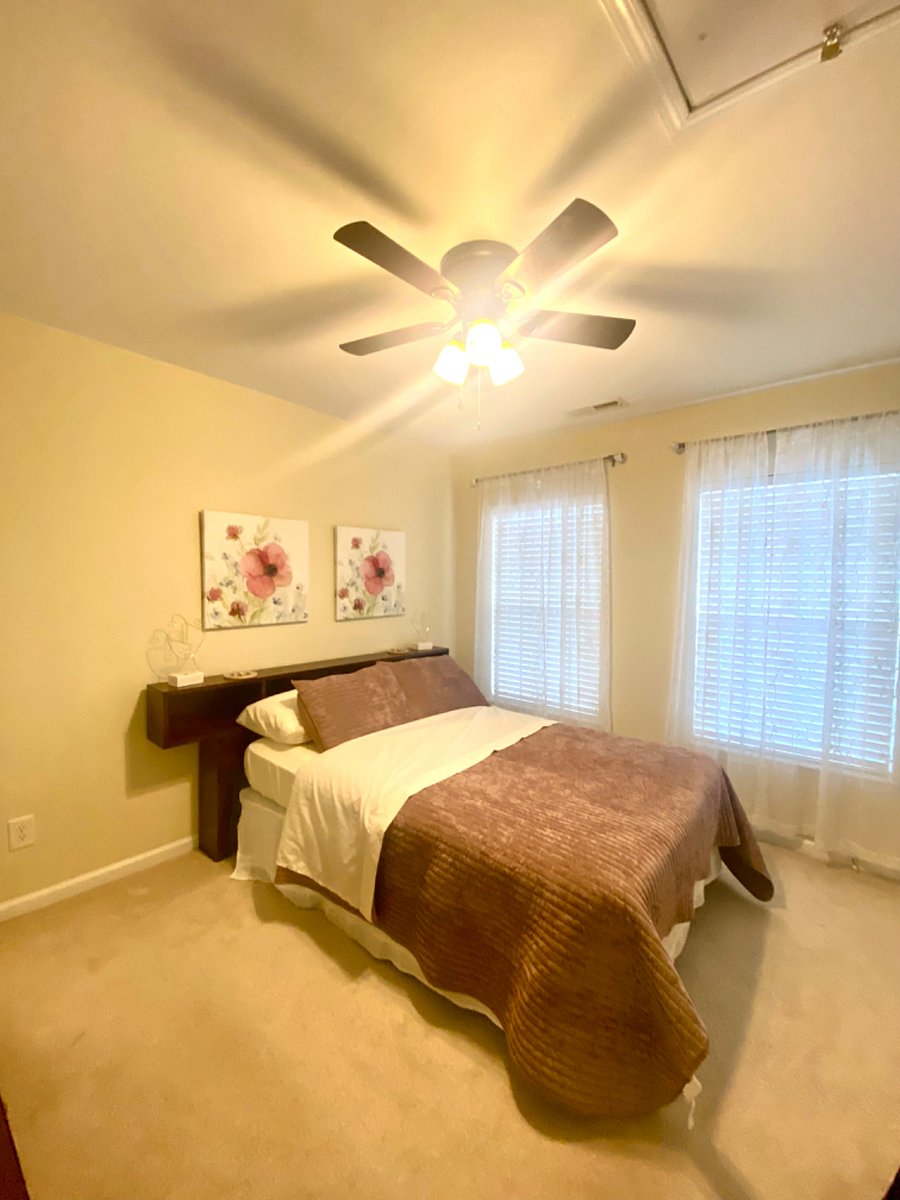 Furnished Finder property 269448_1 photo 40