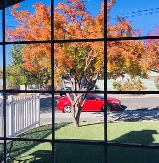 View of front yard from living room
