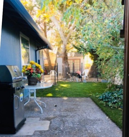 View from kitchen -- back yard grilling area + fenced back yard