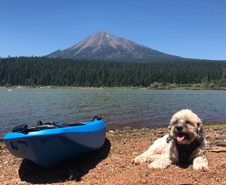 Her fur baby visiting the sites