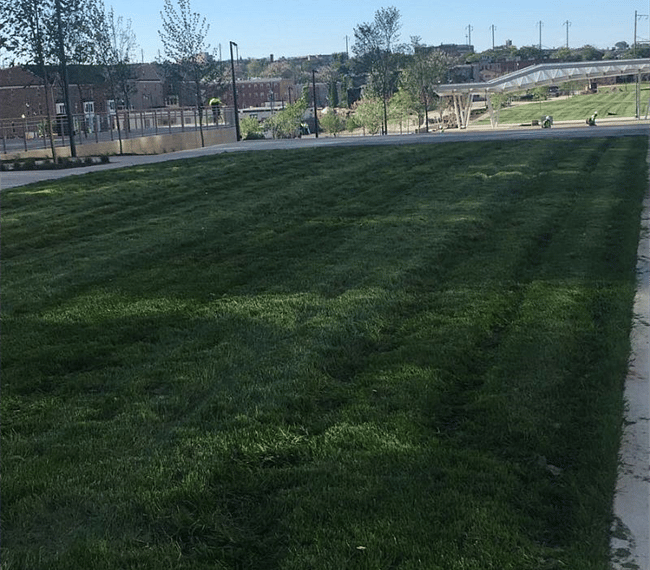 Green outdoors
