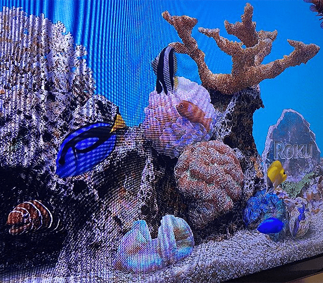 Streaming Roku