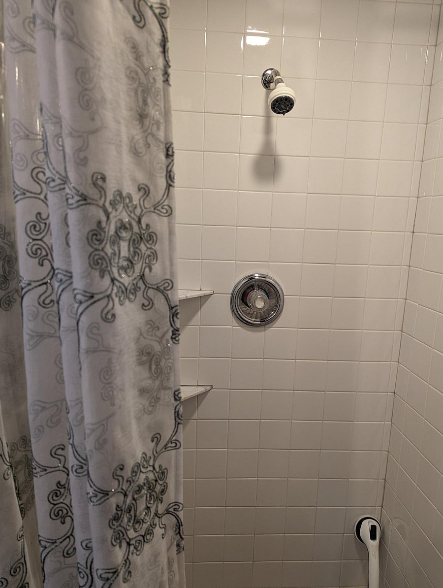 Furnished Finder property 269633_1 photo 5