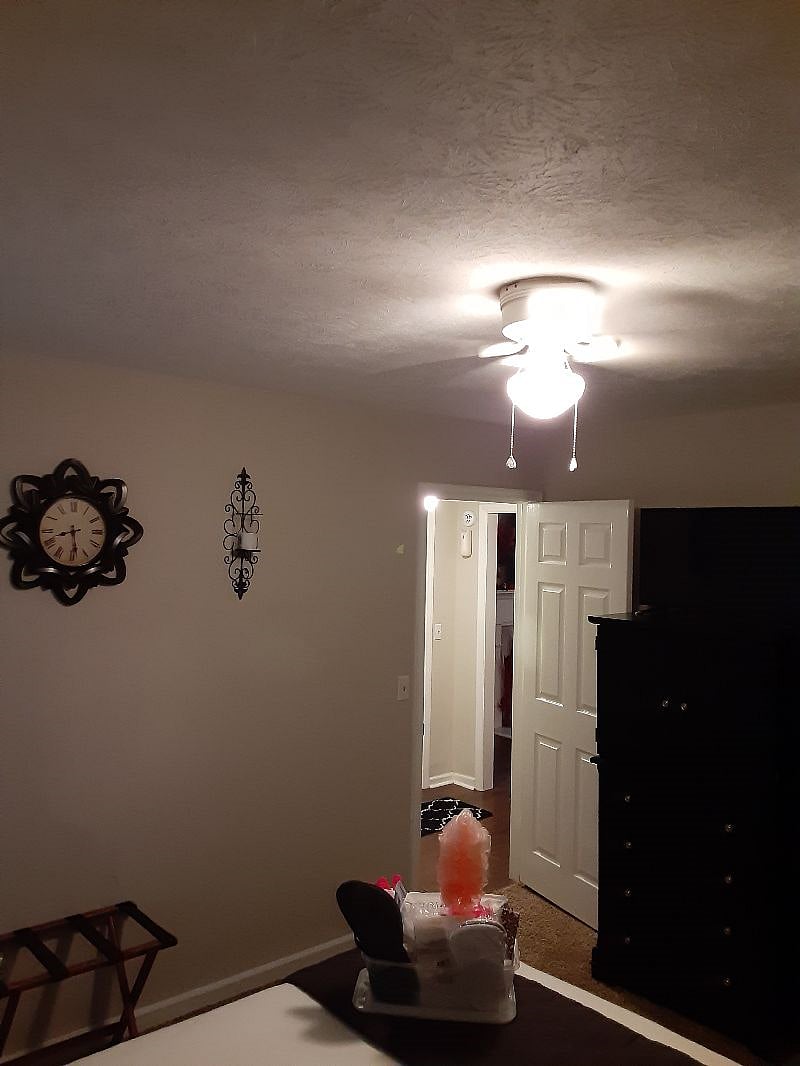 Furnished Finder property 269648_1 photo 19