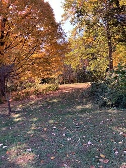 Cherokee Park