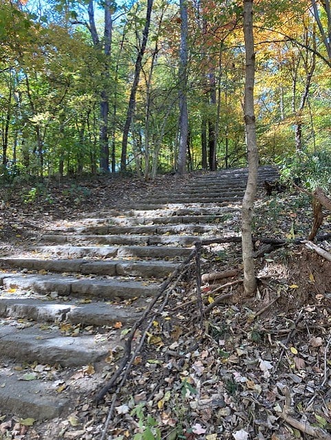 Cherokee Park