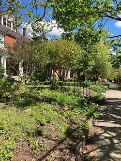 Side Walkway