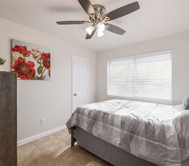 Furnished Finder property 269887_1 photo 7