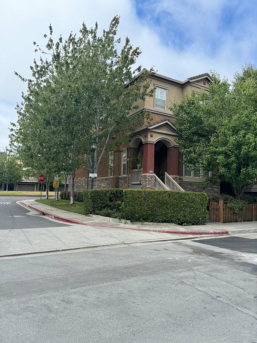 Neighborhood houses around under 0.3 miles 